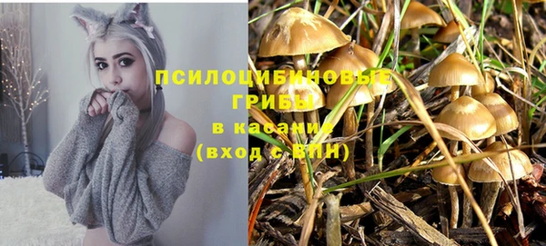 гидропоника Бронницы