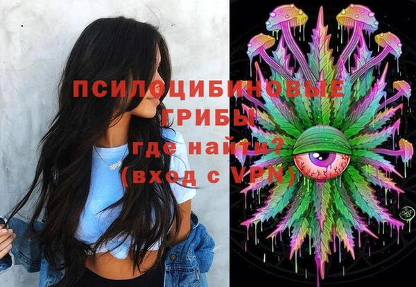скорость Бородино