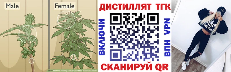 Дистиллят ТГК жижа  Нея 