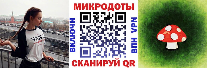 купить закладку  Нея  Галлюциногенные грибы Psilocybe 